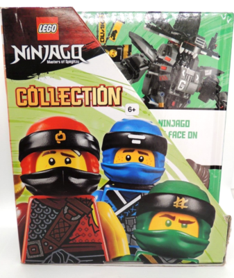 Lego Ninjago Master of Spinjitzu Hard Back Book Collection 10 Book Set and Case
