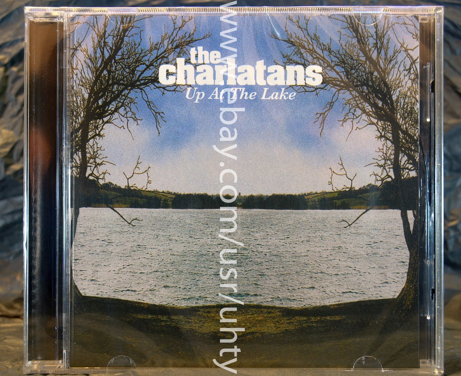 洋楽 The Charlatans / S.T 洋楽 The Charlatans / S.T CHARLATANS - Songs from the Other