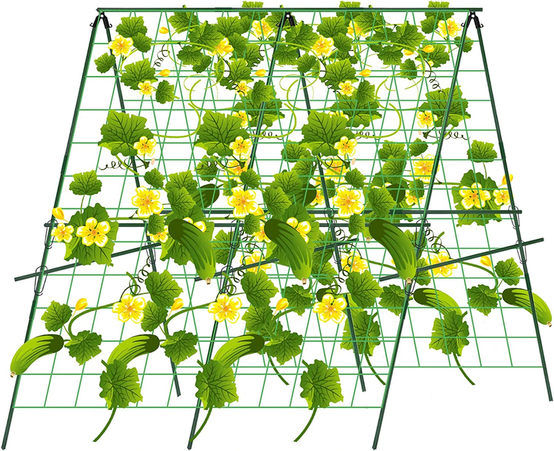 48 X 48Inch Foldable A-Frame Cucumber Trellis for Raised Bed Garden Vegetable Gr