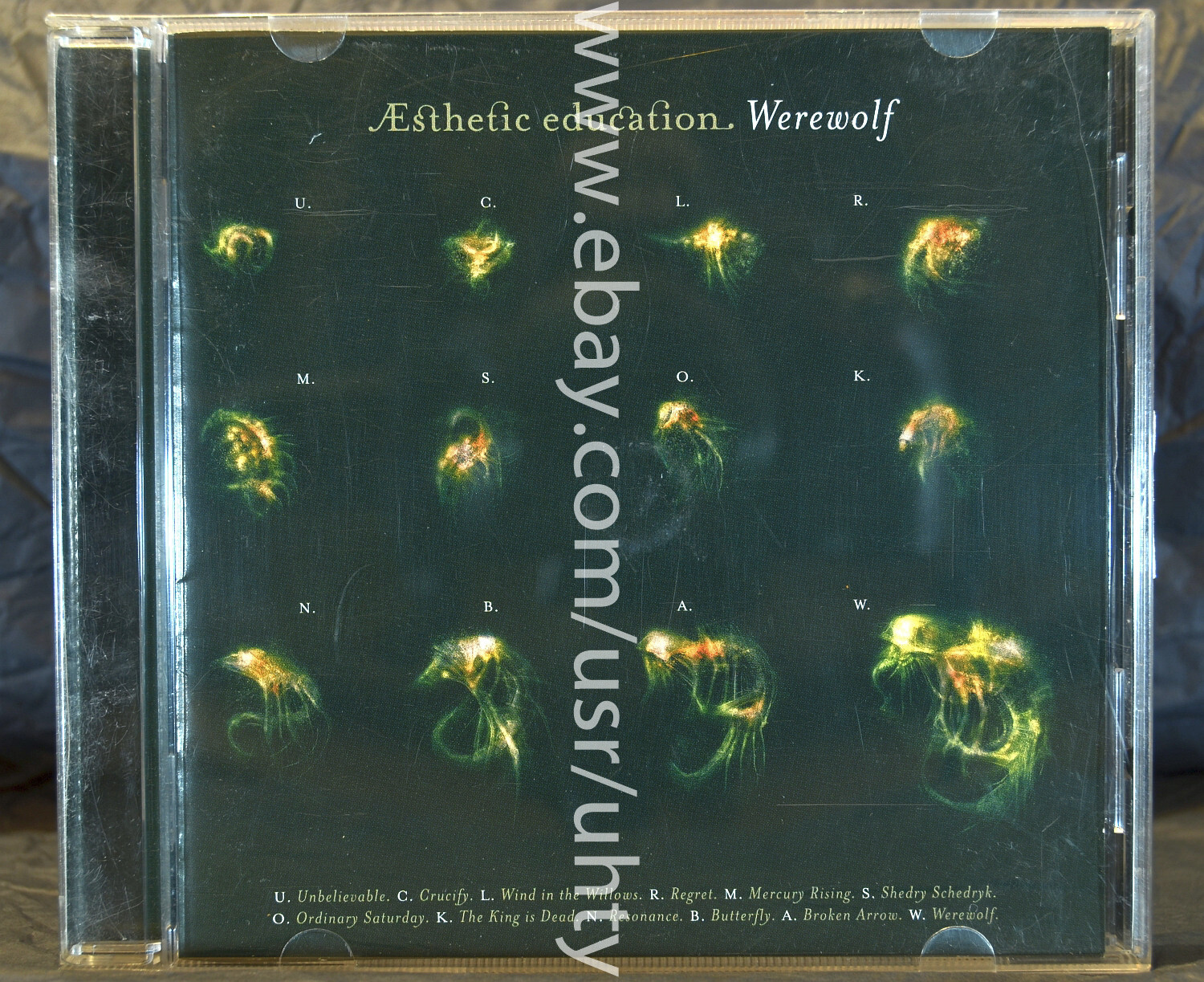 ESTHETIC EDUCATION WEREWOLF RARE UKR ORIGINAL CD BRITPOP