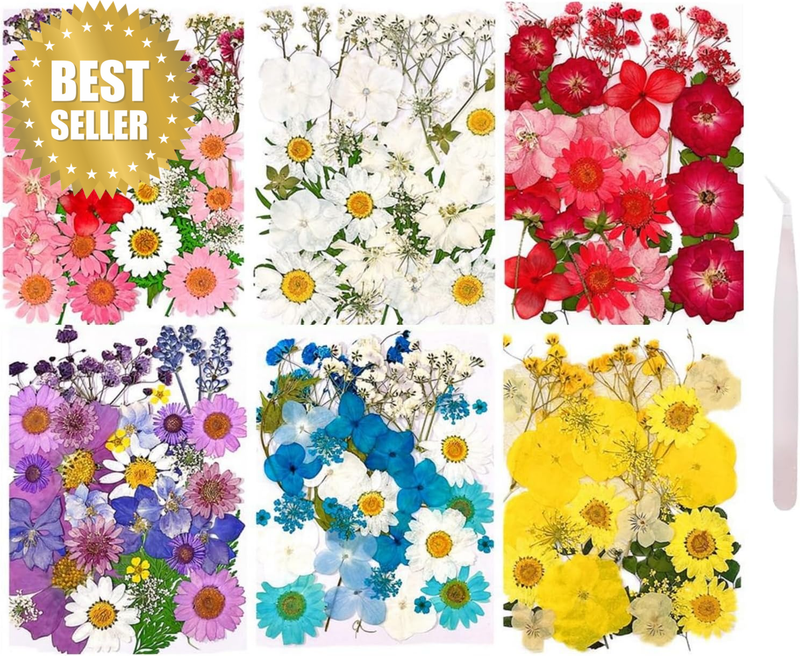 201PCS Pressed Flowers for Resin Molds Real Dried Flower Leaves for Resin Jewelr
