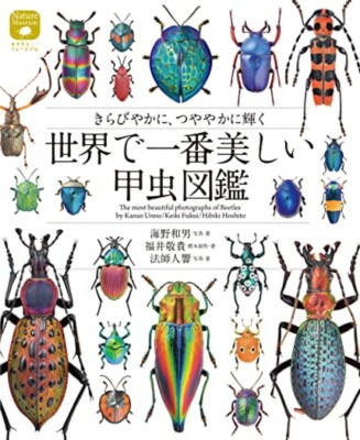 洋書　INSECTS IN FLIGHT 昆虫の飛行　大型写真集 $_1.JPG
