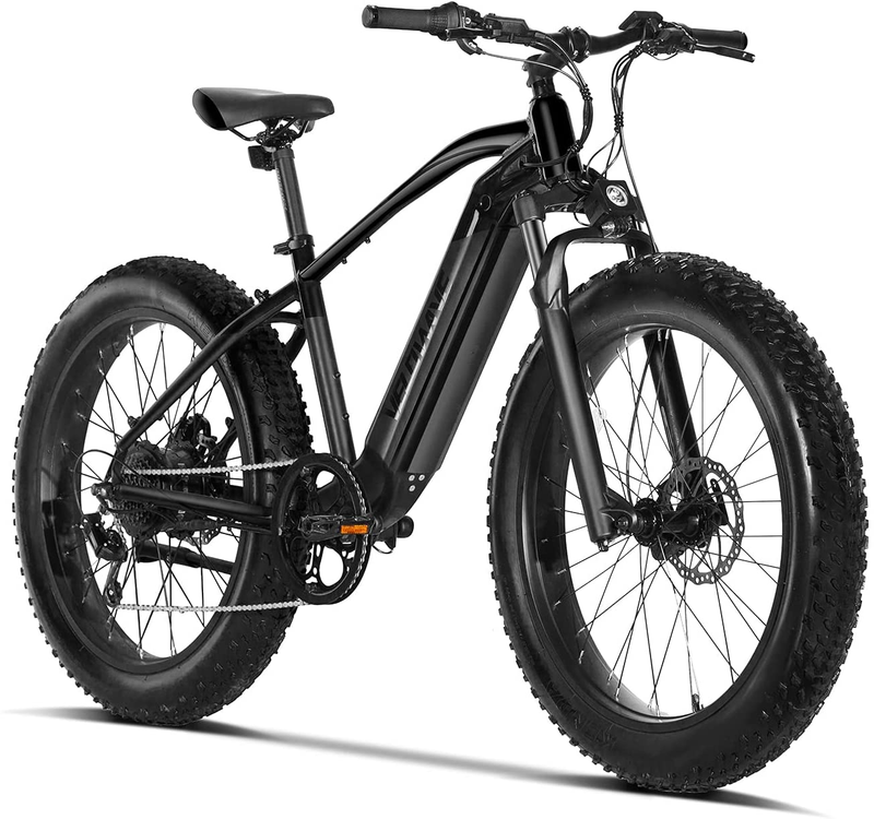 Electric Bike