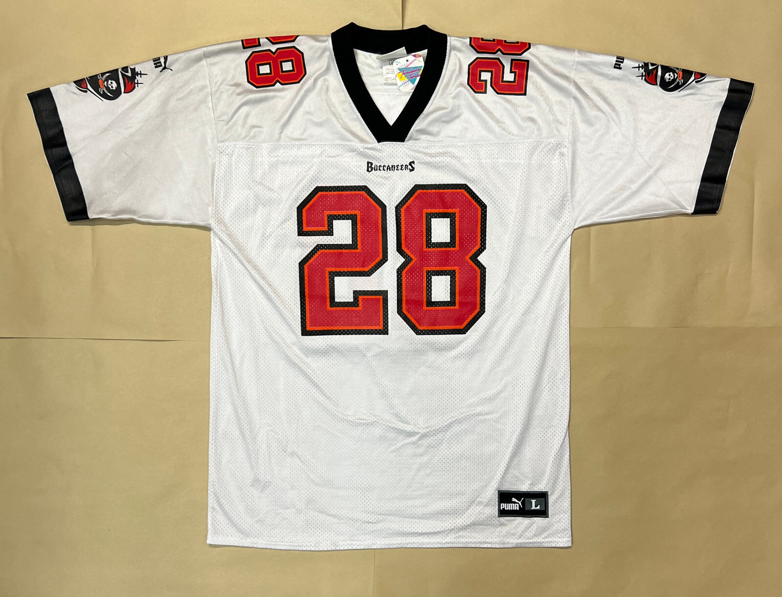 JSY013 Tampa Bay Buccaneers NFL Jersey Dunn #28 Large | eBay
