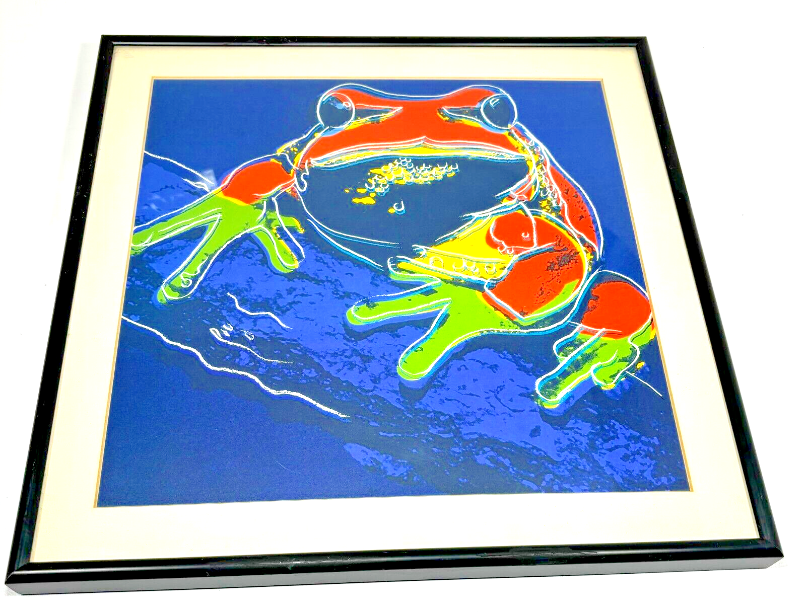 Andy Warhol 1983 "Pine Barrens Tree Frog" Litho Print Framed 1989 AW Foundation