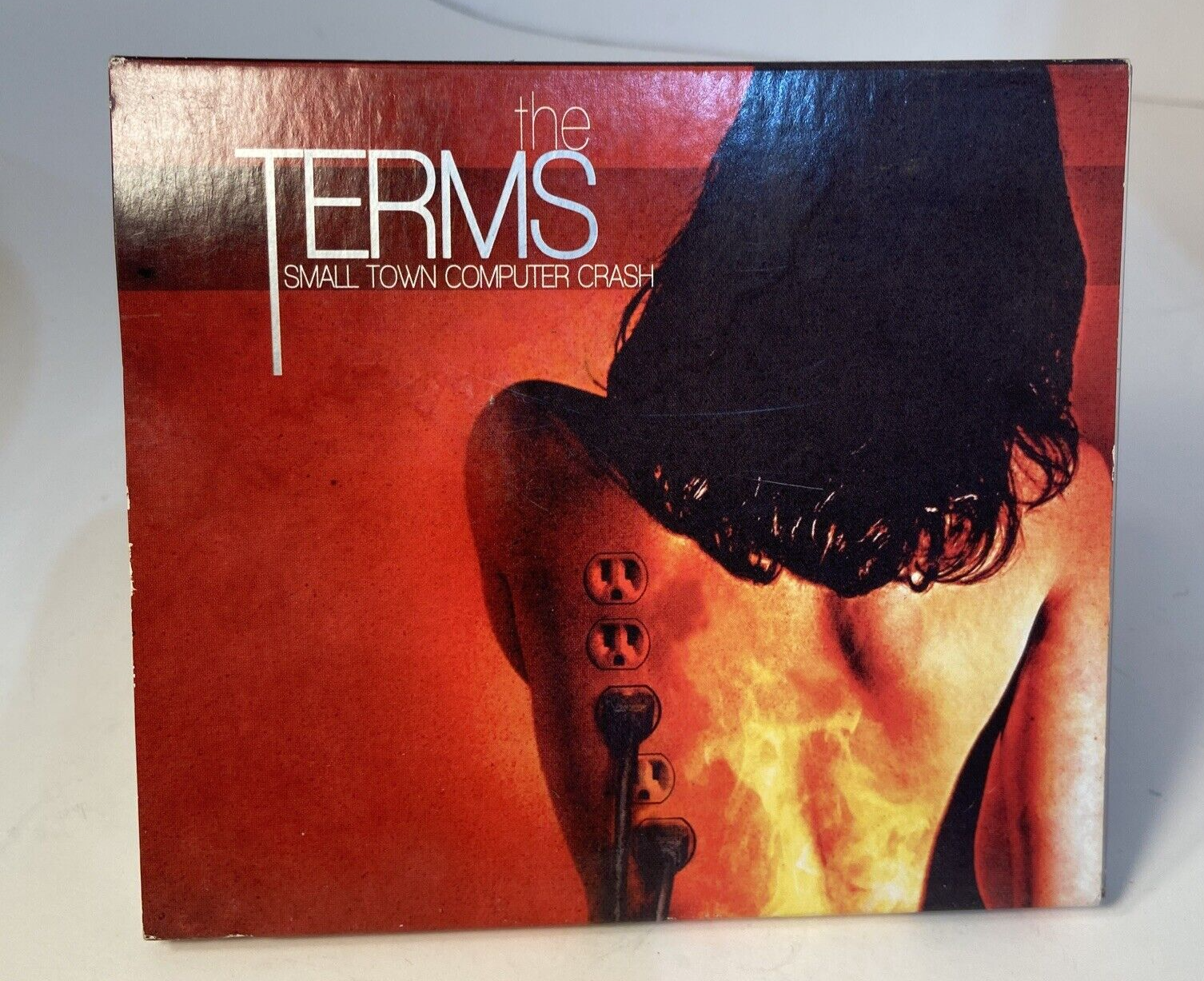 THE TERMS THE TERMS