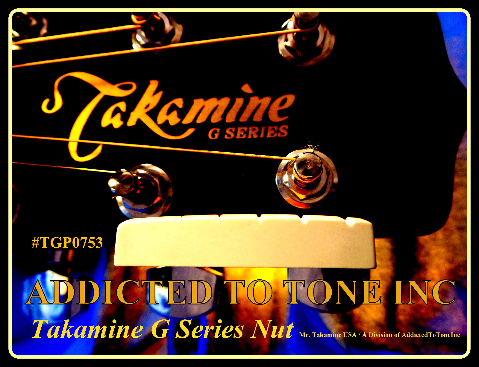 Takamine G Series Acoustic Guitar NUT TGP0753 / Pre Slotted