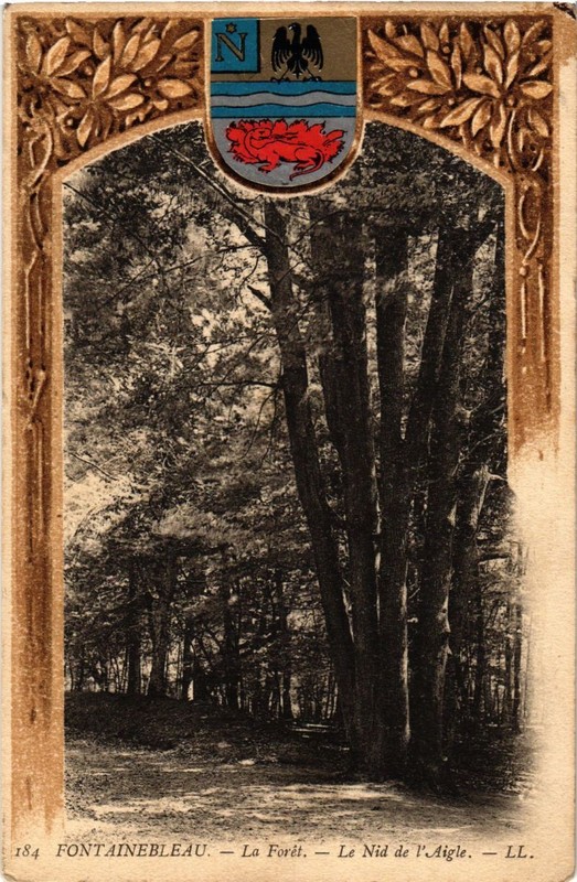 Cpa Fontainebleau - La Foret - Le Nid De L'Aigle (166935)