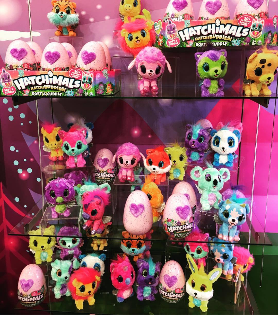 hatchimals buddies