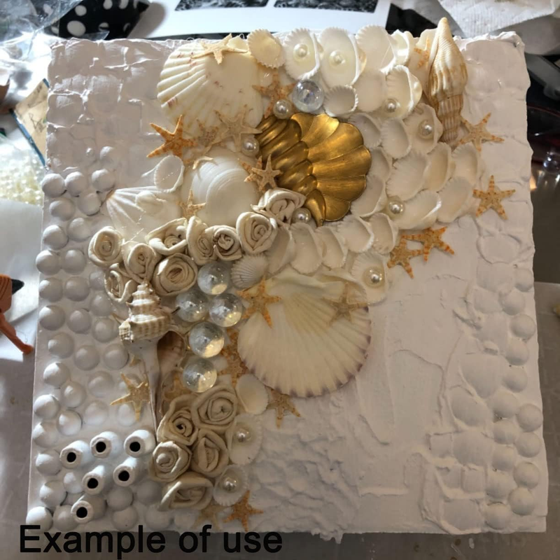 200PCS Mixed Beach Sea Shells 8 Kinds 0.4"-1.2" Various Sizes Natural Seashells