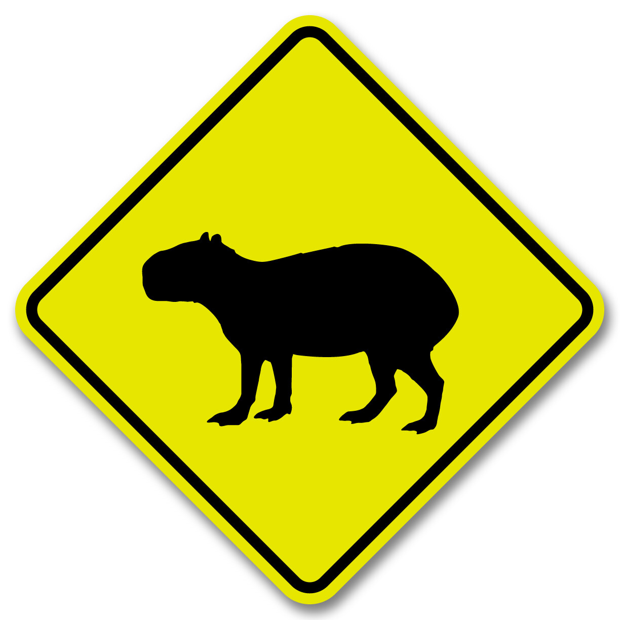 Capybara Crossing 16