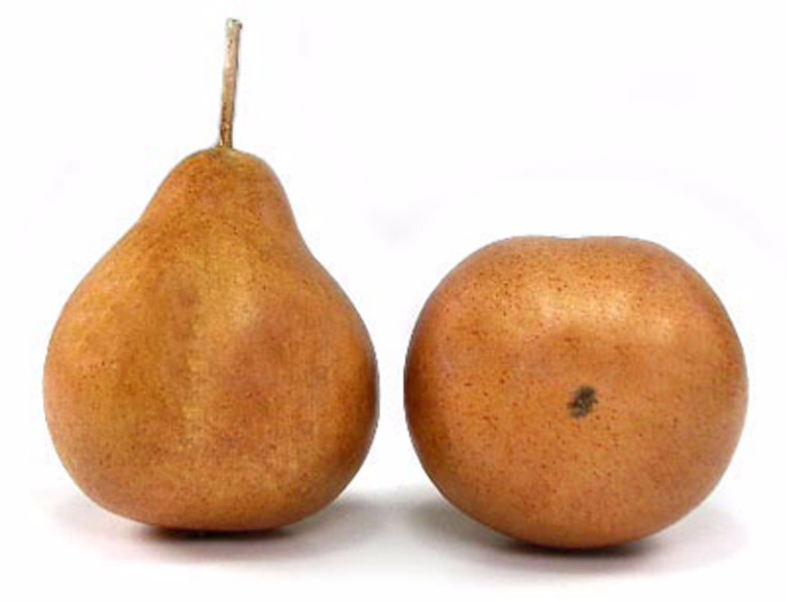 Груша мелкая