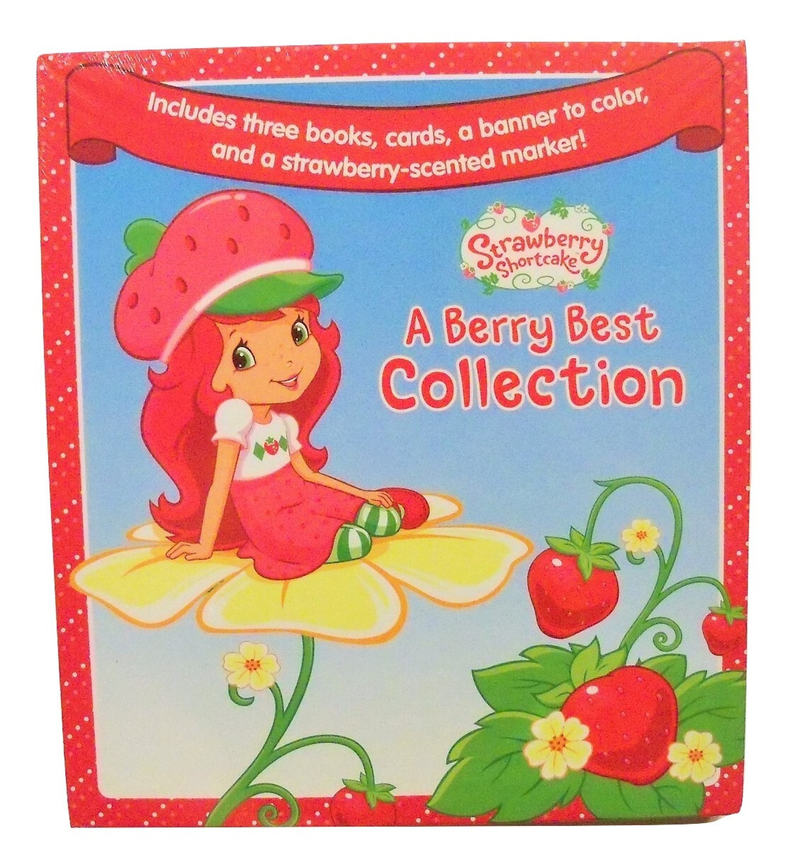 Strawberry Shortcake Educational Boxed Set ~ A Berry Best
