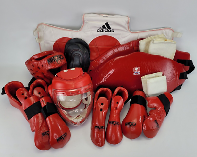 Everlast boxing gloves sales and headgear set
