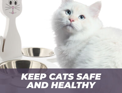 Pet Store Wood Multi-Cat Raised Feeder with 3 Metal Bowls (White)