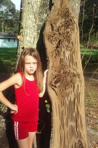 Old Growth Pecky Sinker Cypress Wood Table Kiln Dried 2300 Years Old Made in USA