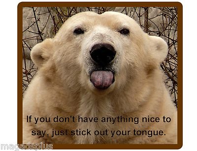 Funny Polar Bear  Nice Tongue  Refrigerator / Tool  Box / Locker  Magnet