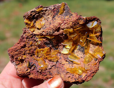 Wulfenite, Silver Bill Mine Arizona, Gem Yellow Crystals On Matrix 10.2 Cm's