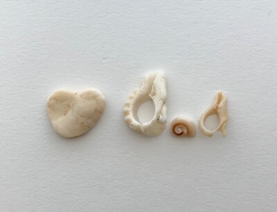 Natural Letter Shaped   dad beach shell fragments seashell craft art pebble USA