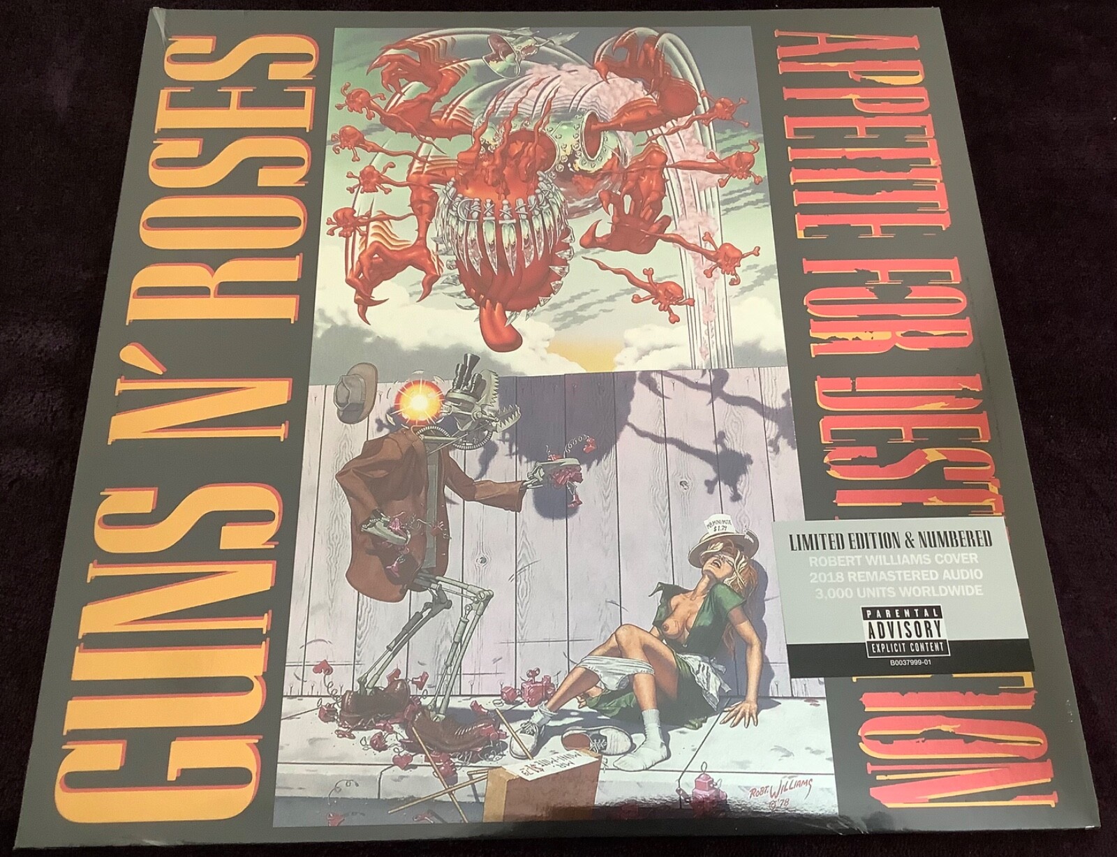 GUNS N’ ROSES APPETITE FOR DESTRUCTION 91X+LLanUeL._UF1000,1000_QL80_.jpg