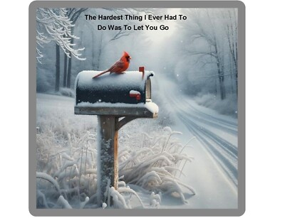 Red Cardinal Blessed Bird On Mail Box  Refrigerator Fridge Magnet Gift Item
