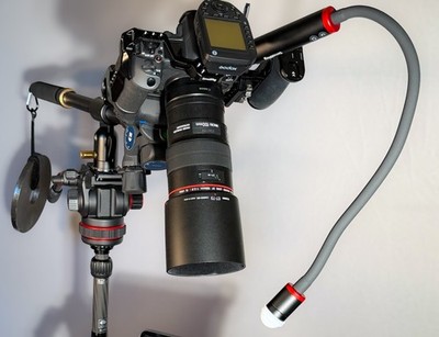 Photos de l'objet d'un acheteur vérifié