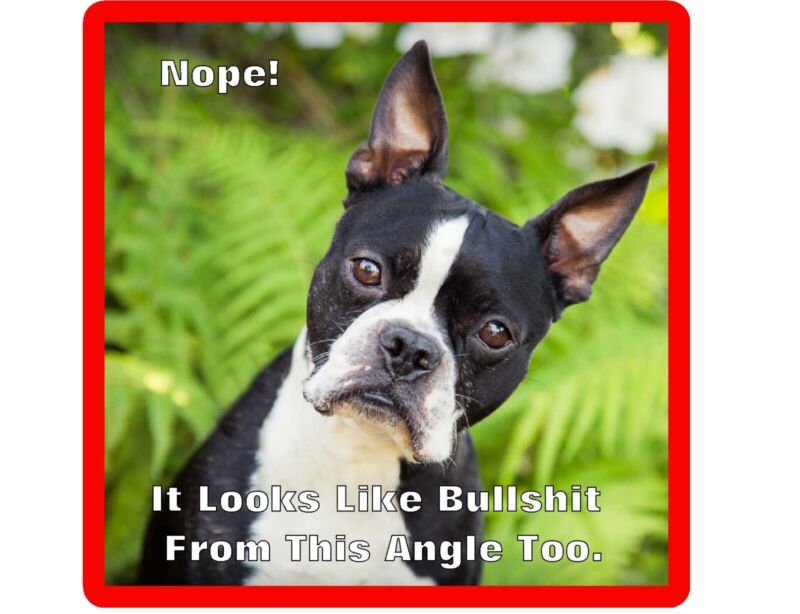 Funny Boston Terrier Looks Like BS  Refrigerator Magnet Gift Card Insert