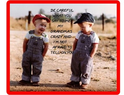 Funny Farm Boy's Crazy Grandma  Refrigerator / Tool  Box  Magnet