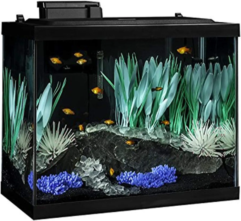 Tetra Colorfusion Aquarium 20 Gallon Fish Tank Kit, Includes