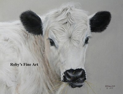 Limited Edition Angus Longhorn Cross ''Dora'' Cattle Art Print By Roby Baer PSA