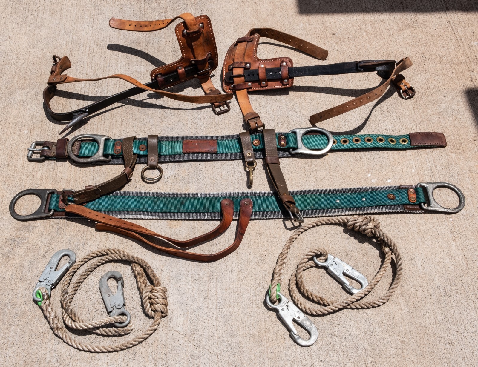 Buckingham Tree Climbing GearのeBay公認海外通販｜セカイモン