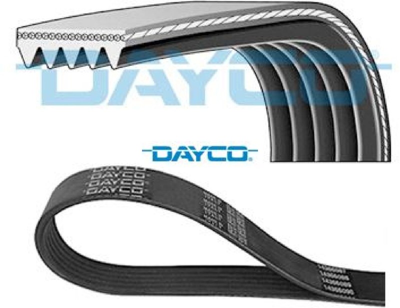 Dayco 5pk1137 Keilrippenriemen Keilriemen 