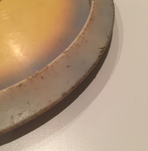 Discraft Elite X XL 166 grams