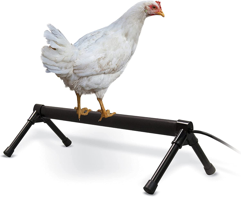 Thermo-Chicken Perch Warming Chicken Heater for Chicken Coops, Prevents Frozen C