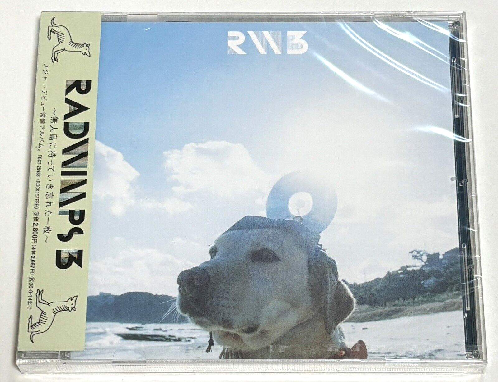 その他 Discovering Repertoire Level 3 DVD RAD DR3_1200x1200.jpg?v=1674136913