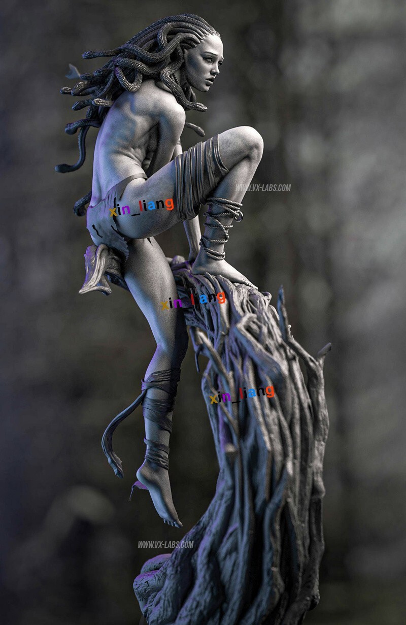 1/6 36cm Medusa 3D Print Figure GK Model Kit Unpainted
