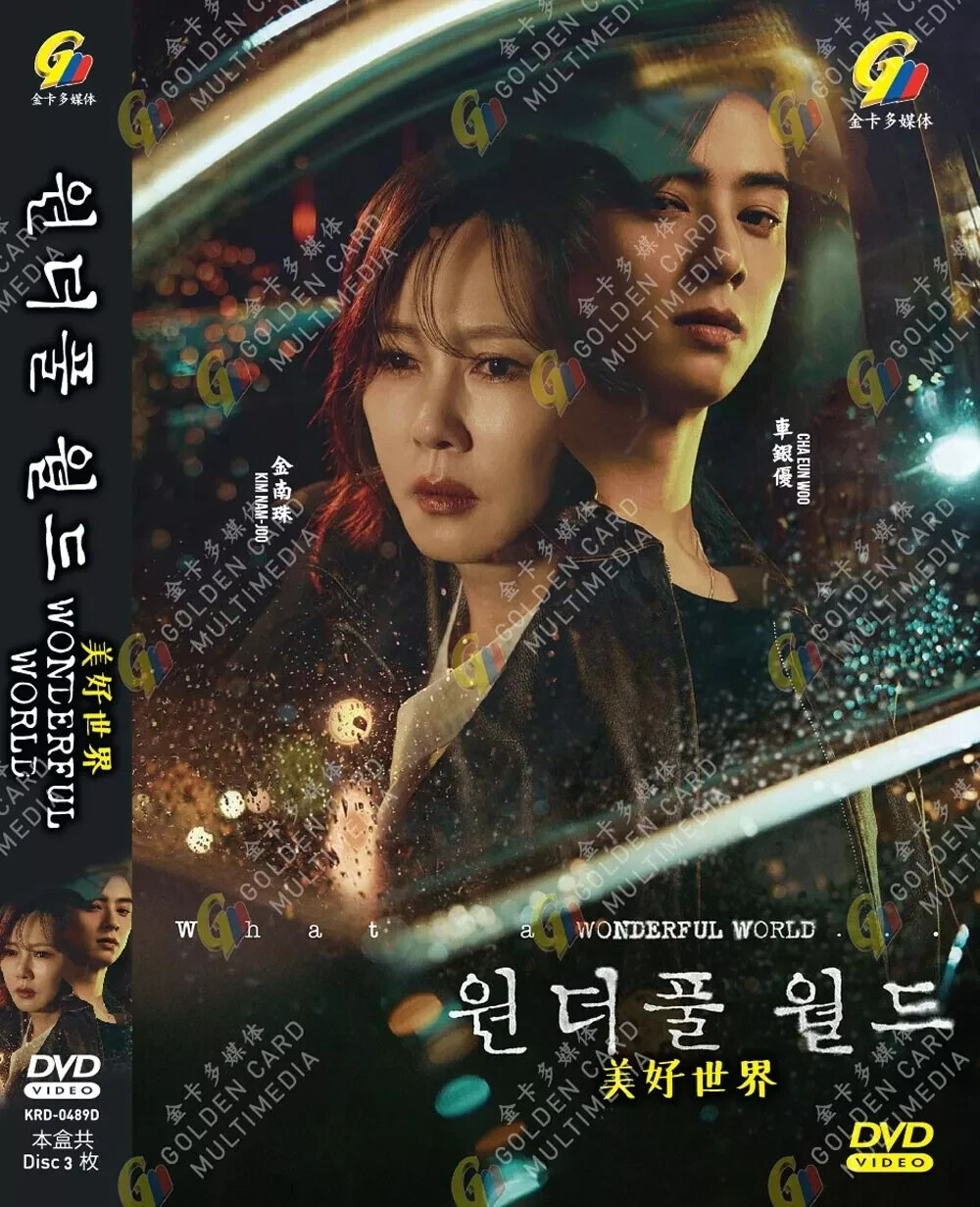 Korean Drama DVD Wonderful World (1-14 End) Complete Series