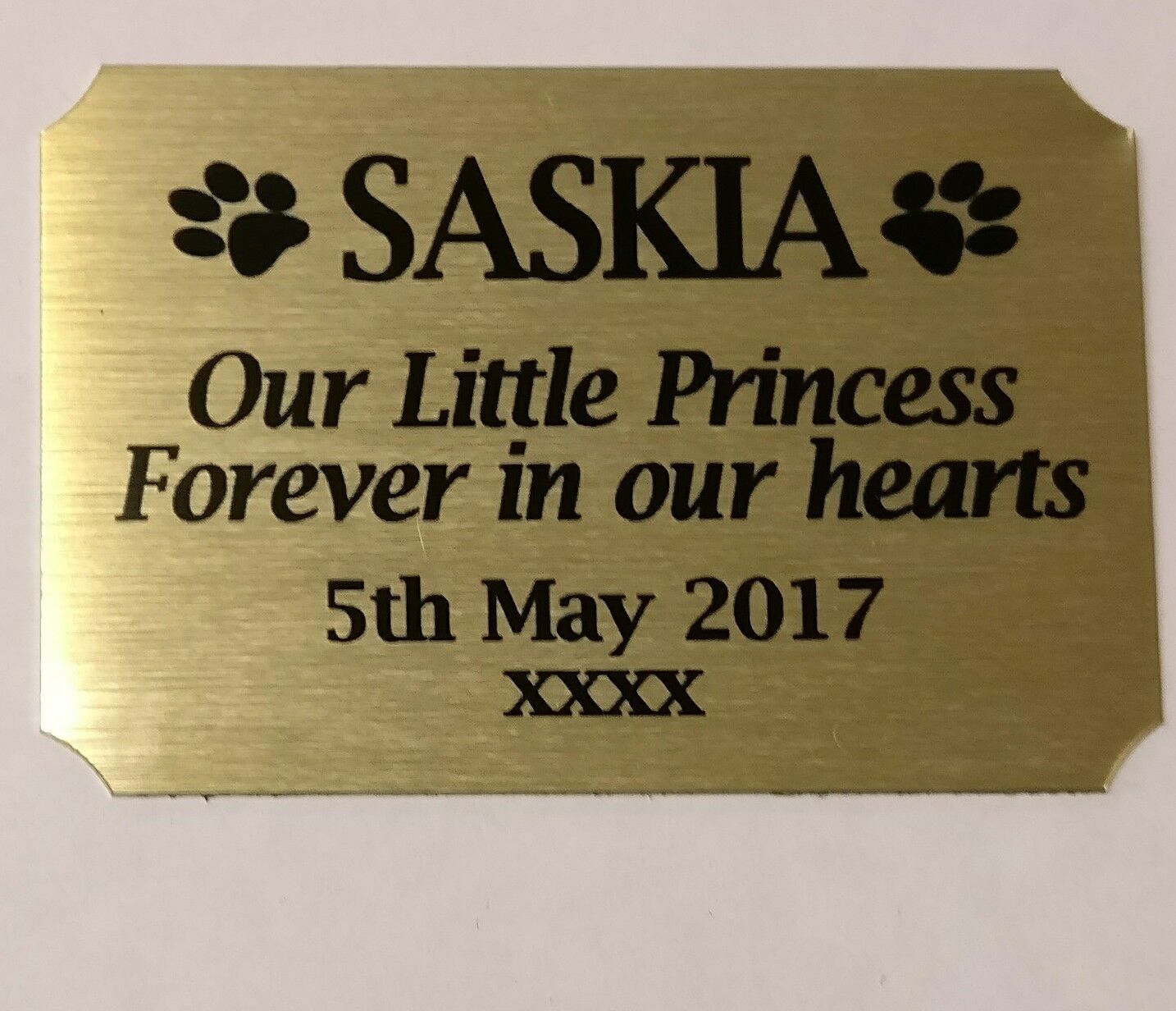 Memorial Pet Plaque for casket - personalised to your own requirements - Picture 5 of 11