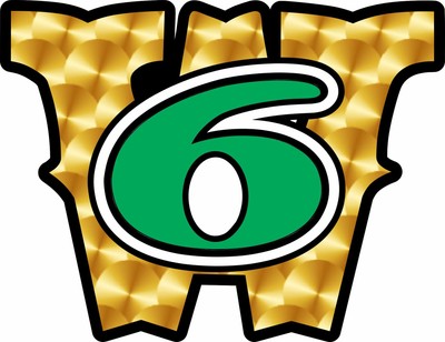 Worcester 6 Decal Firefighter REFLECTIVE GOLD/GREEN Memorial Sticker Sticker