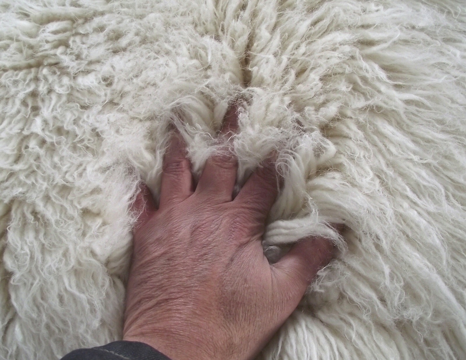 GREEK FLOKATI RUGS | SUPER THICK 3.5" SHAG PILE | OFF WHITE SHAGGY WOOL AREA RUG