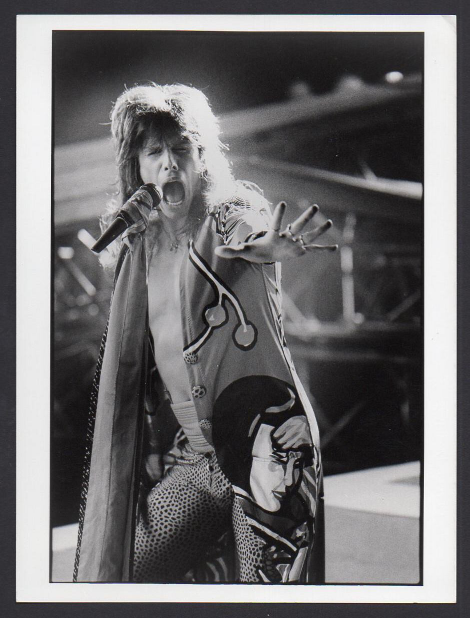 Aerosmith エアロスミス Steven ギターピック Aerosmith エアロスミス Steven Tyler ギターピック Aerosmith