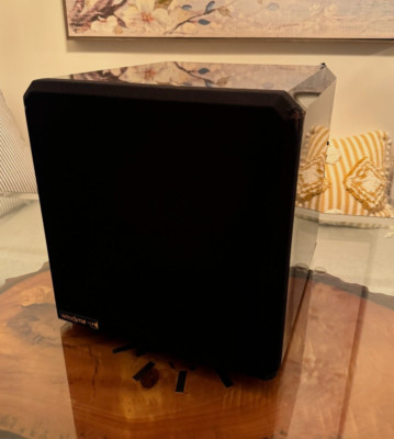 Velodyne HGS-10BG High Gain Servo 10  Compact Powered Stereo Subwoofer 