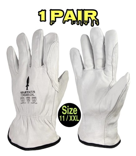 $_12.JPG?set_id=880000500F