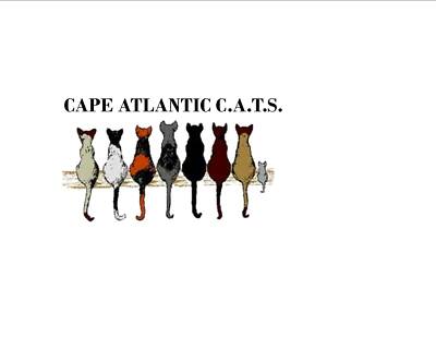 Cape-Atlantic Citizens Altering The Strays