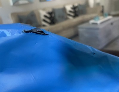 Artikelfoto(s) von einem verifizierten Käufer