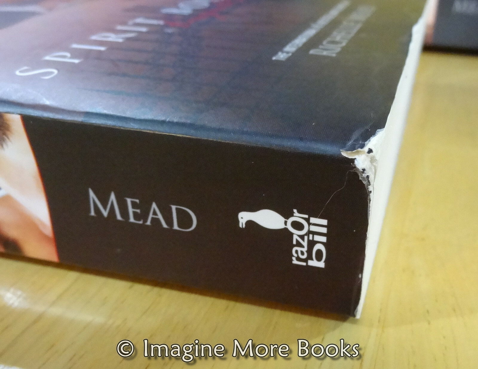 Vampire Academy Books 16 by Richelle Mead Complete