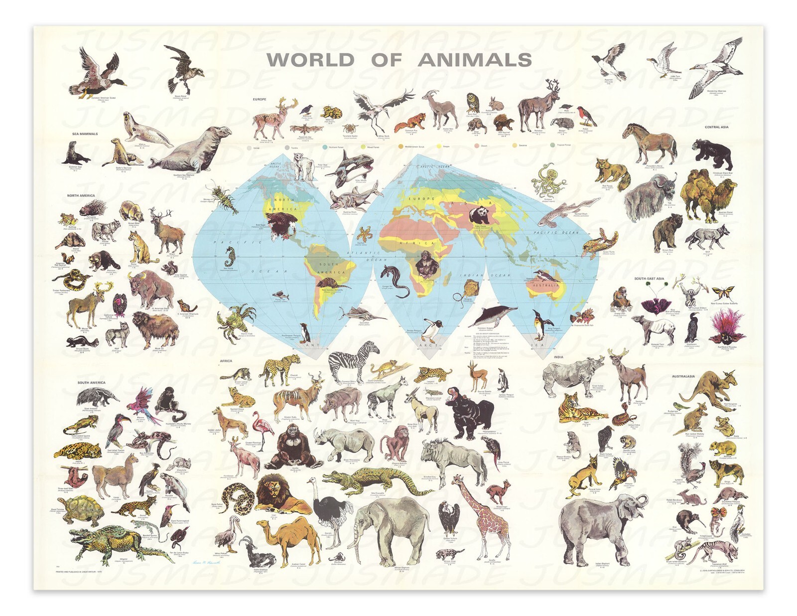 WORLD OF ANIMALS Species Map Chart 1970 Vintage Illustration -Unframed- Print