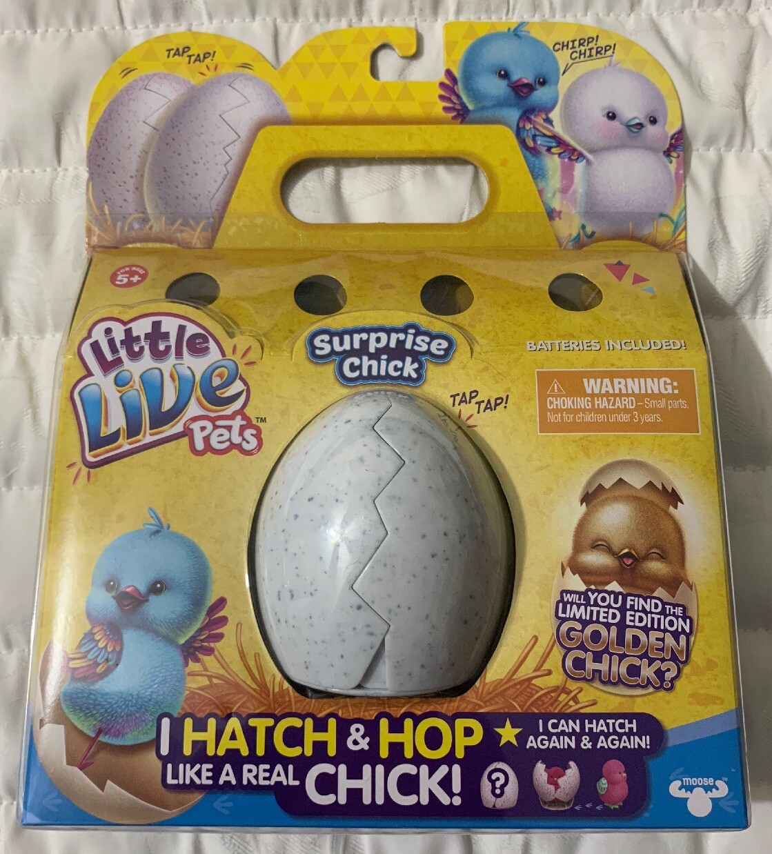 little live pets egg