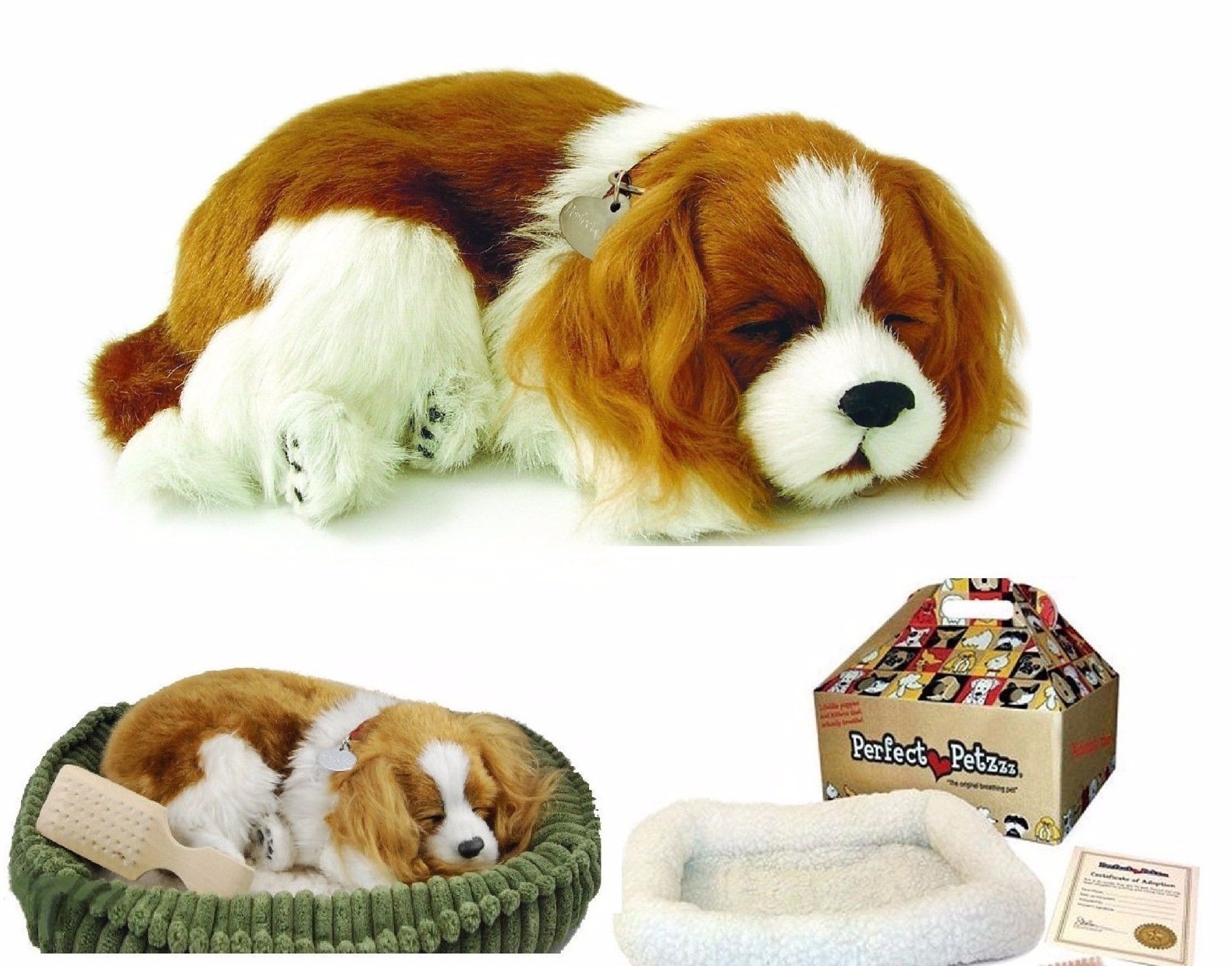 perfect petzzz rabbit