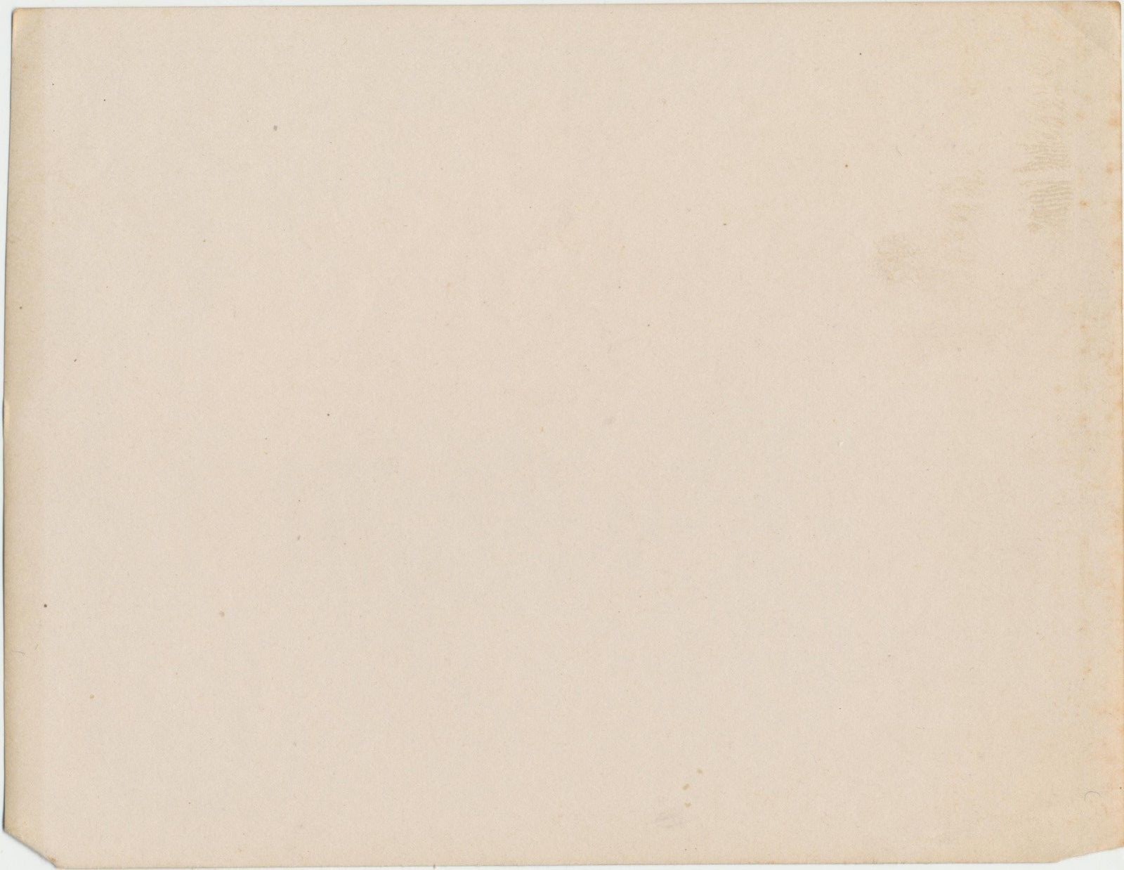 c1910 Antique Photo of Man Driving One Horse Drawn Carriage 4 Wheel Wagon Cart